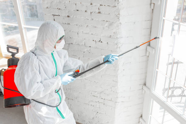 Trusted Anamosa, IA Mold Removal Experts